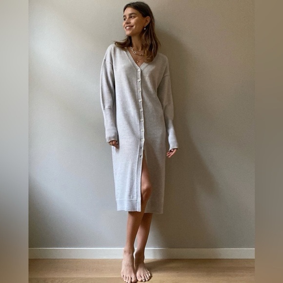 Wilfred Aritzia Merino Wool Grey Utopia Knit Button Front Dress Small - Picture 2 of 11
